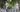 Focus E Bike vs Fully E Bike: Choosing the Right Electric Ride