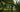 Green travel ebike:ADO Air One Ultra compact ebike