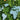 the well-being of the earth
