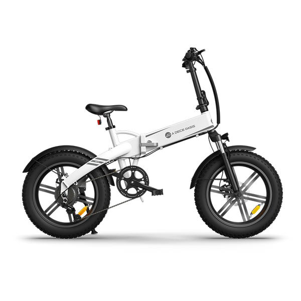 ドッグフード E- ドッグフード 160g × 5袋 計800g ドライ 無添加 Fam サカナ