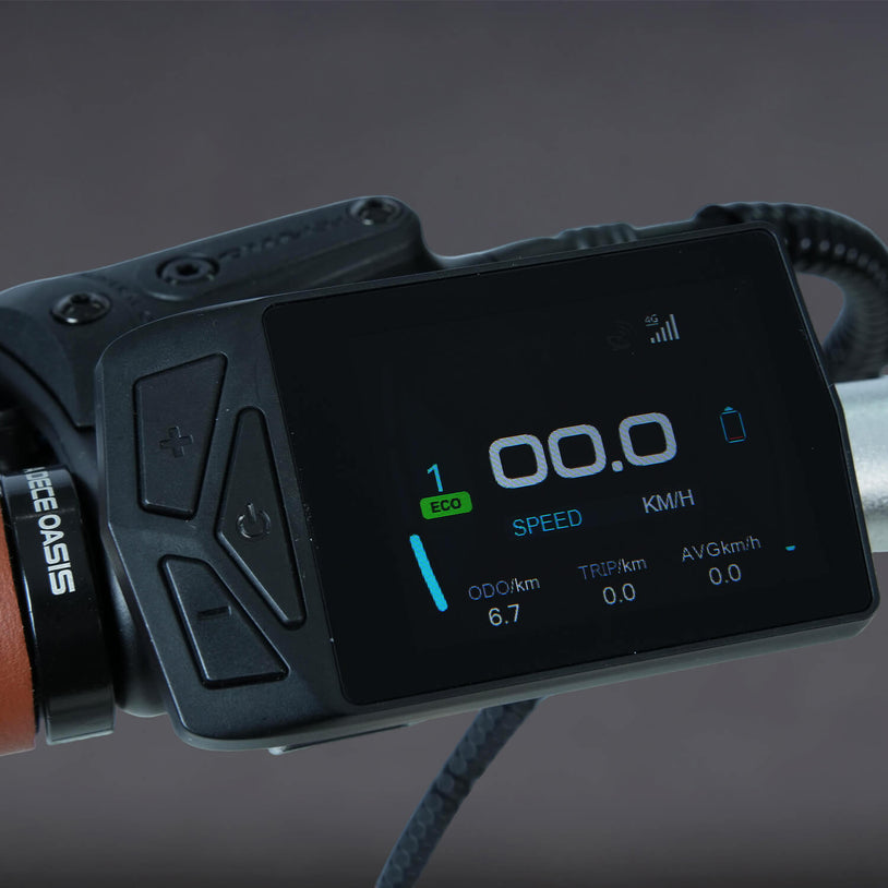Écran couleur IPS