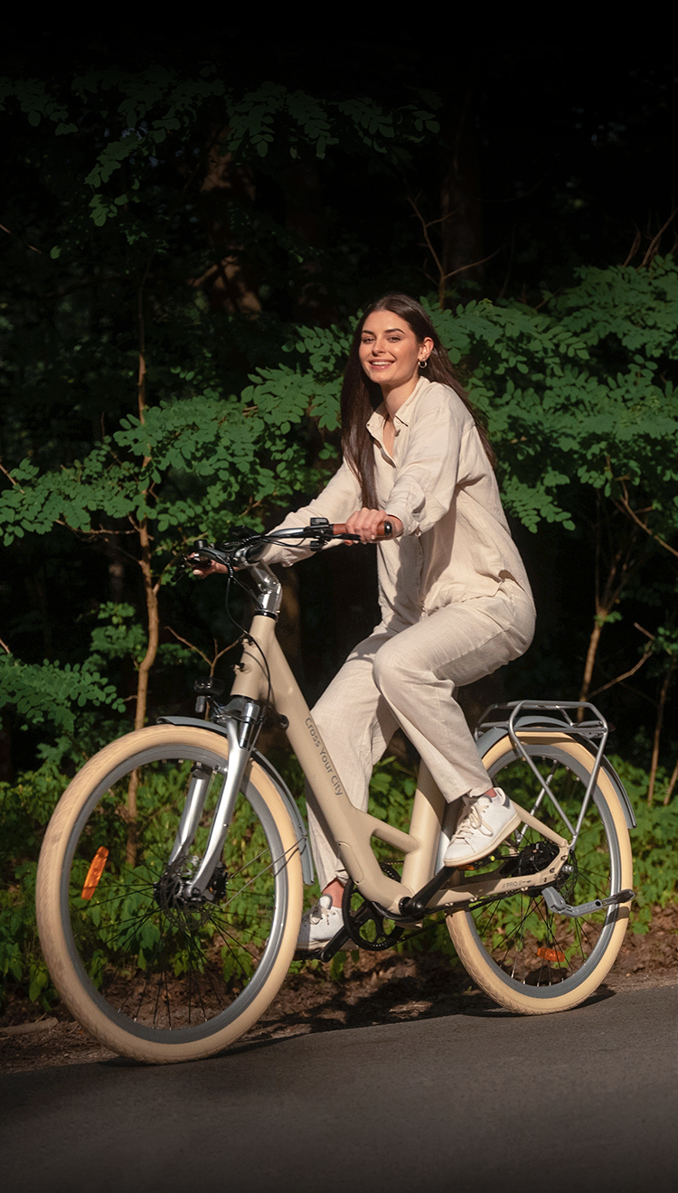 DYU C1 elektrische fiets, 350W motor, 36V 10Ah accu, 26*2.5' all-terrain banden, 25km/u maximale DYU C1 elektrische fiets, 350W motor, 36V 10Ah accu, 26*2.5' all-terrain banden, 25km/u maximale