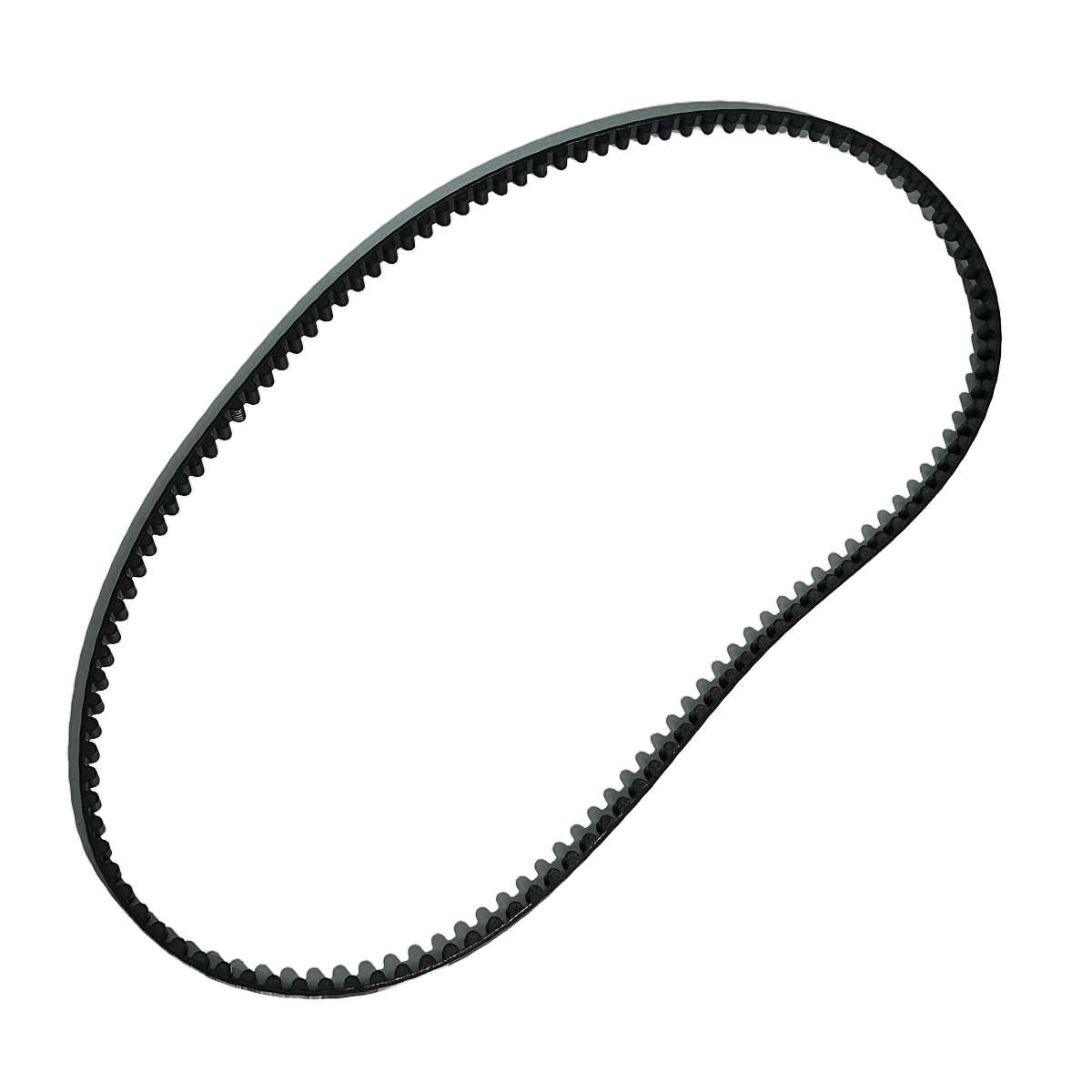 ebike belt